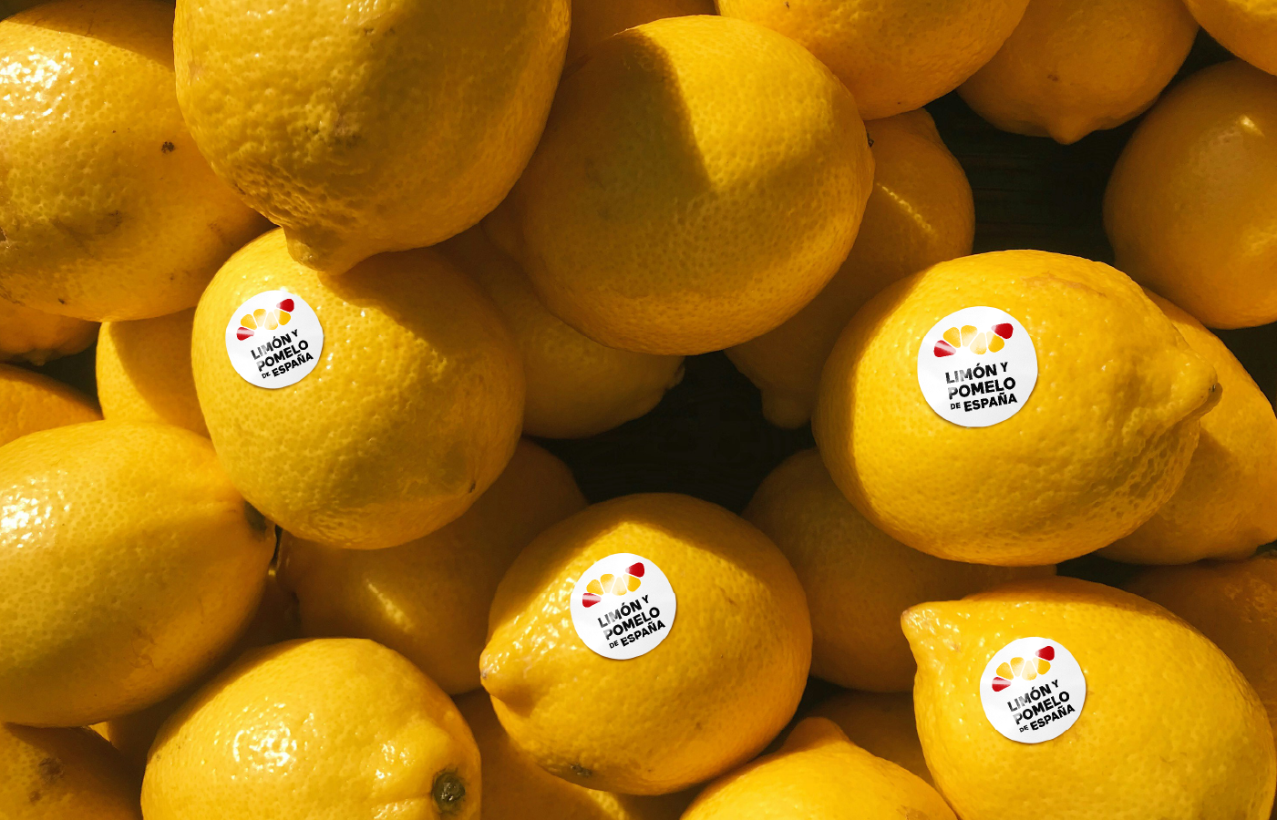 Création de l'identité visuelle d'Ailimpo : Citron et pamplemousse d’Espagne