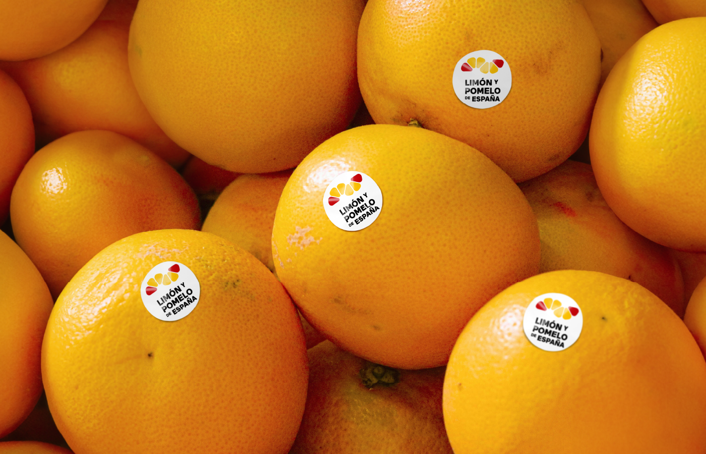Création de l'identité visuelle d'Ailimpo : Citron et pamplemousse d’Espagne