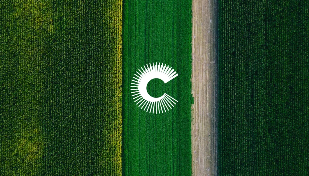 Création d’une identité visuelle pour un expert en gestion de patrimoine