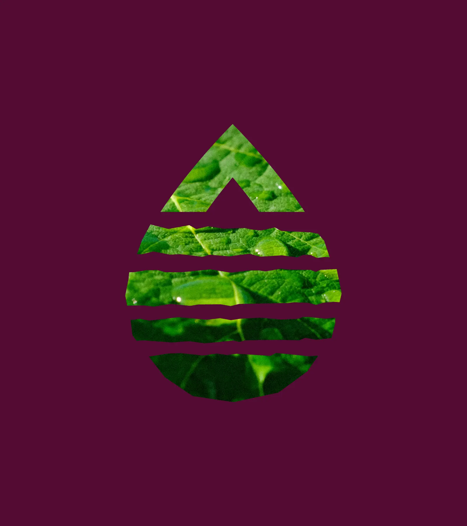 AOC_Listrac-Medoc_Symbol_Photo_2