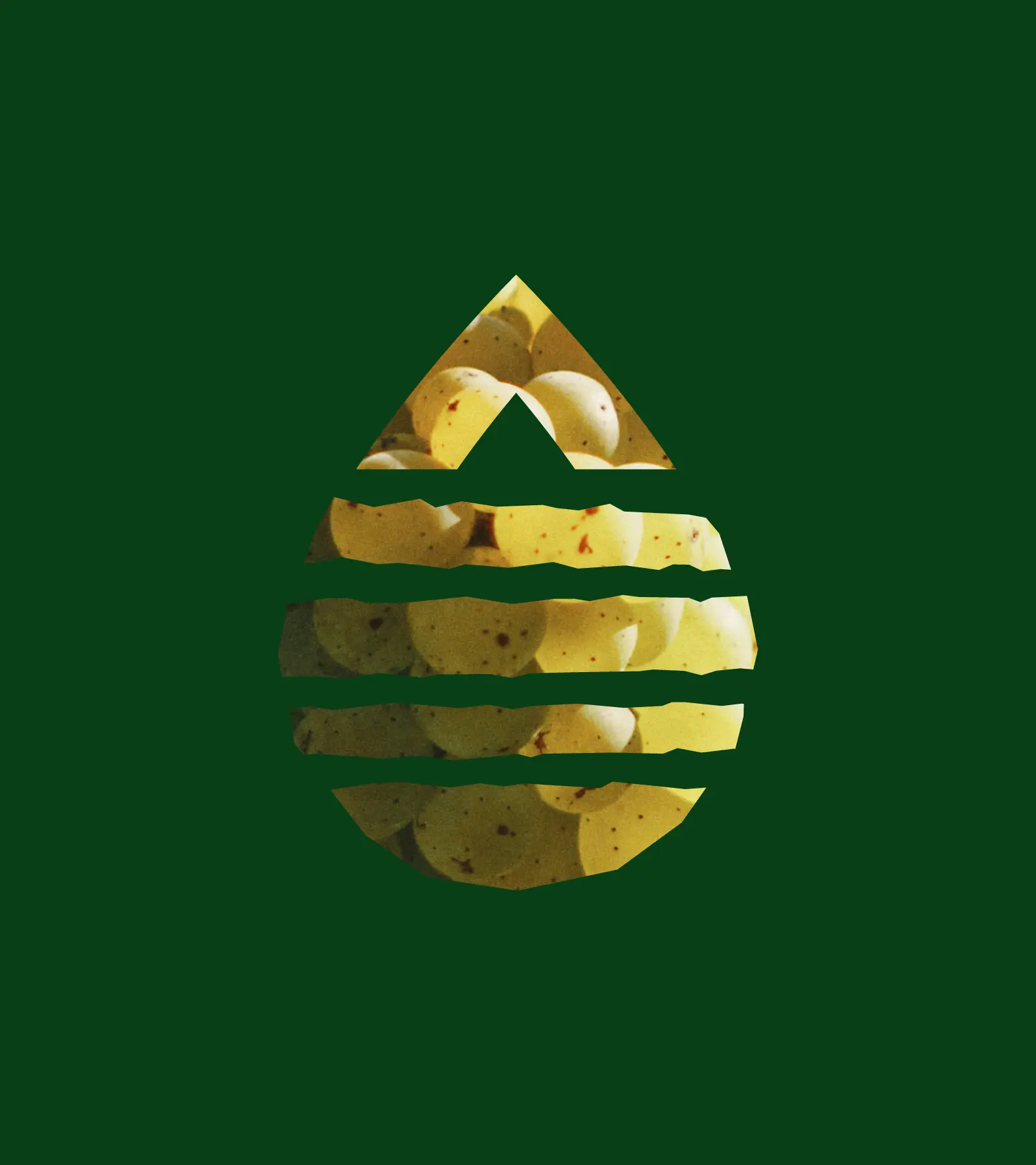 AOC_Listrac-Medoc_Symbol_Photo_3